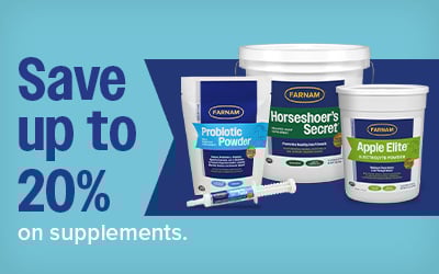 CGP-24004_Q3_Supplements_Home_2_400x250