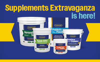 CGP-26002_Supp_Home_3_400x250_Final