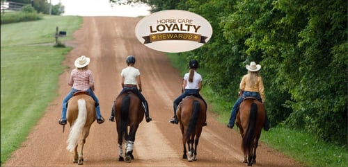 horse-care-loyalty-rewards-763x368