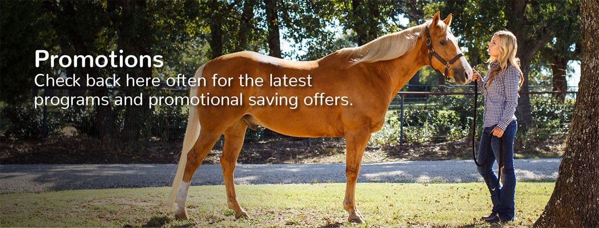 promotions-hero2-1200x457