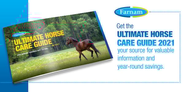 UHCG_Promo_LandingPage_600x300